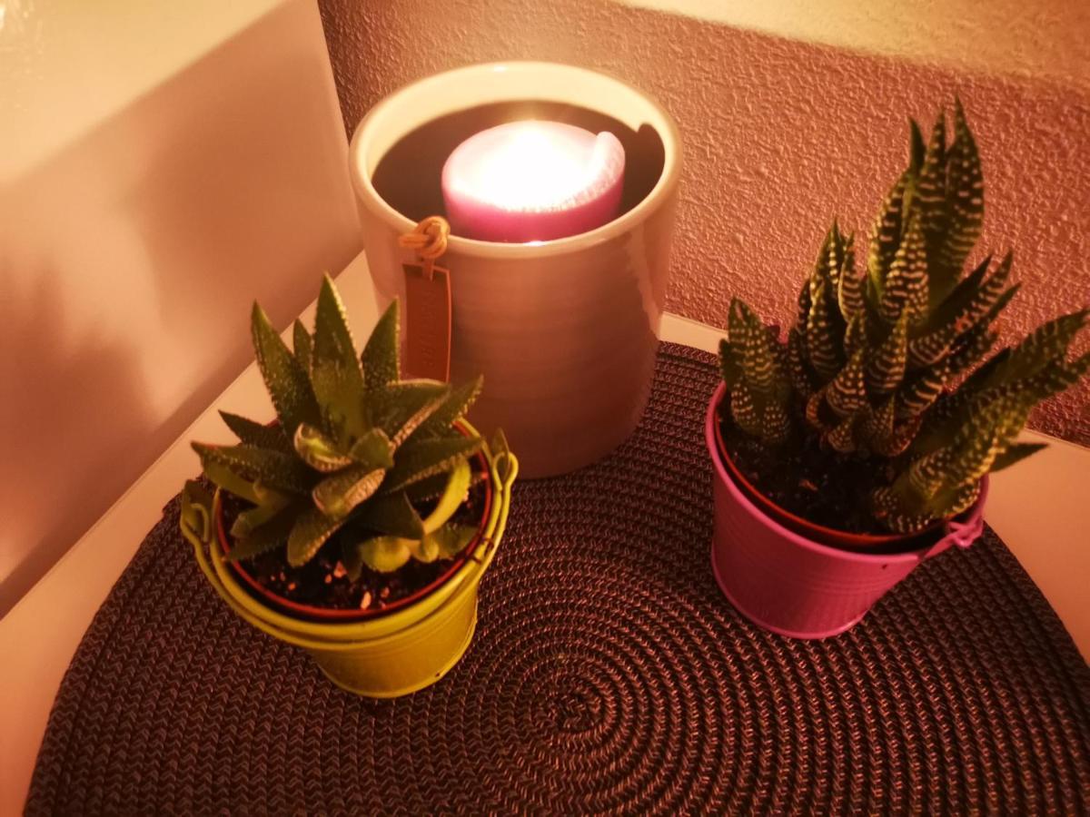 Apartamento De Raa 또레비에하 외부 사진